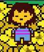 24 KB