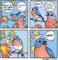 179 KB