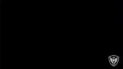 3.6 MB