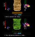 665 KB