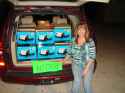 419 KB