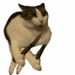 305 KB