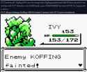110 KB