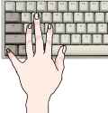 333 KB