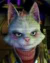 544 KB