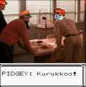 313 KB