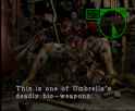 1.13 MB