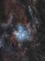 419 KB