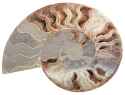 339 KB