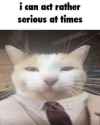 32 KB