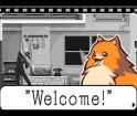 33 KB
