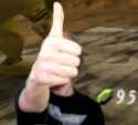 17 KB