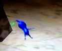 863 KB