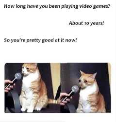 351 KB