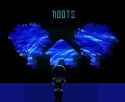53 KB
