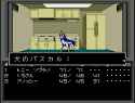 19 KB