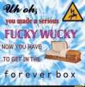 156 KB