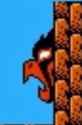 954 KB