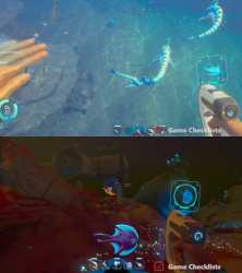 3.62 MB