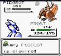 243 KB