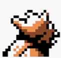 13 KB