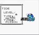 174 KB