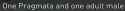 38 KB
