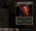 29 KB