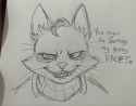 485 KB