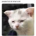 63 KB