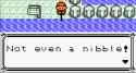 138 KB