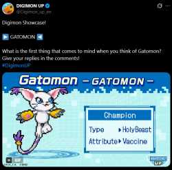 240 KB