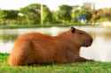 153 KB