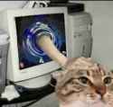 8 KB
