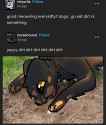 97 KB