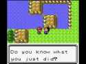 35 KB