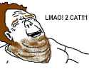 237 KB