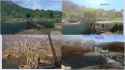 1.4 MB