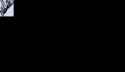 233 KB