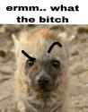 78 KB