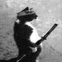 39 KB