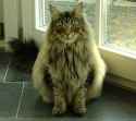 420 KB