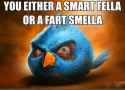 48 KB