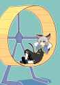 609 KB