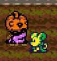 14 KB