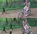 114 KB