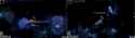 1.85 MB