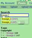 19 KB