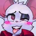 204 KB