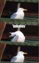 113 KB